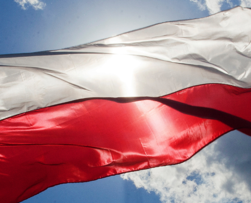 Dichiarazione di Valore Polonia lingua polacca