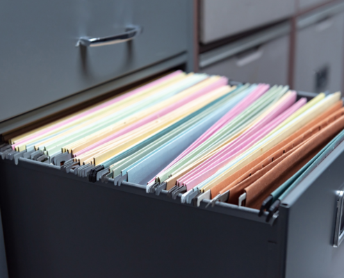 casellario giudiziale