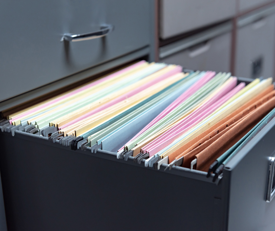 casellario giudiziale