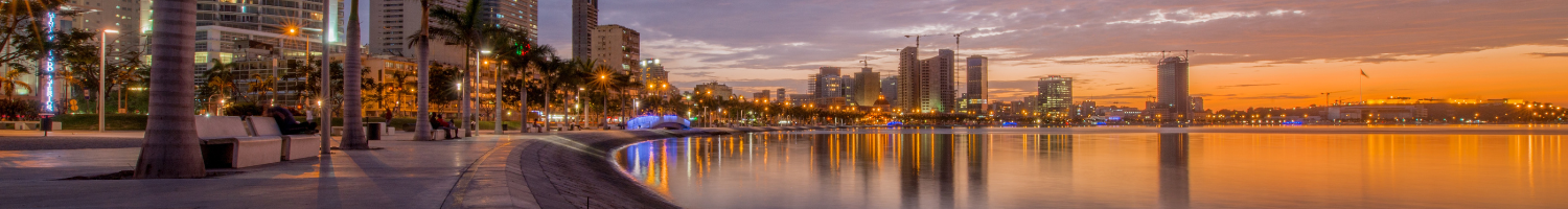 angola banner