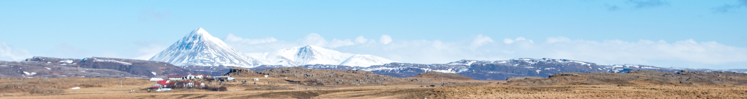 eritrea banner