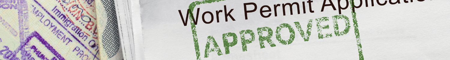 Servizi Immigrazione