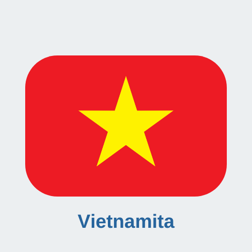 traduzione giurata vietnamita