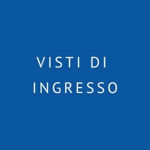 servizi immigrazione: visti di ingresso