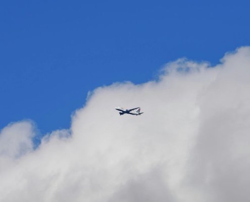 casellario giudiziale piloti hostess